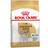 Royal Canin Jack Russell Adult 3kg