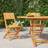 vidaXL Folding Garden Chairs 2 pcs 47x61x90 cm Solid Wood Teak Garden Dining Chair