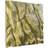 Exo Terra rock background viv climbing snake