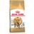 Royal Canin Bengal Adult 2kg