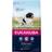 Eukanuba Adult Medium Breed Chicken 3kg