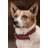 Kentucky Dogwear flettet nylonhundehalsbånd Mørkerød XS