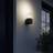 Lucande Keke Wall light