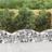 vidaXL Gabion bågformad 150x30x40/60 galvaniserat järn