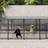 vidaXL 685 128 cm Outdoor Dog Kennel Steel Puppy Crate Pet Cage Enclosure Multi Sizes