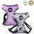 Disney XXS/XS Grey Dog Harness