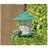 Garland Lantern Bird Seed & Nut Feeder