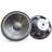Rockwood Sintron 203377 30 cm PA-Subwoofer 300 W