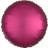 Amscan Anagram Pomegranate Circle Foil Balloons 5pcs