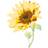 Sizzix Sunflower Stamp Set