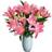 All Occasions Just Lilies - Pink Lily