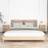 vidaXL Cabinets 2 Engineered Wood&Iron Brown Bedside Table 30x40cm