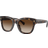 Lauren Ralph Lauren Solbriller - Glossy Dark Tortoise