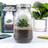 Gift Republic Up Terrarium, One Colour, Women