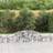 vidaXL Arched Gabion Baskets 5