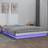 vidaXL LED Bed Frame 6FT Super King Solid