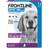 Frontline Spot On Flea & Tick Large Dog Breed 20-40kg