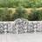 vidaXL Buede Gabionkurve 2 Stk 200 x 50 x 80 cm