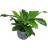 Leaf Bushy Large Artificial Bird's Nest Fern Plant