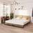 vidaXL Bed Frame Metal Double Bed Base