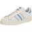 Adidas Superstar Cream White Preloved Blue