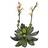 Europalms Houseleeks EVA, artificial, 32cm Konstgjord växt