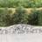 vidaXL Arched Gabion Baskets 3 Iron