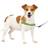 PetSafe Easy Walk Dog Harness No Pull Dog