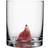 Kosta Boda New Friends Fox Tumbler 46cl