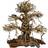 ELDORADO 4FISH Tree roots Old Bonsai 40x20x40