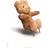 Brainchild Plakat uden Ramme Bamse/Hvid Baggrund A5