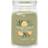 Yankee Candle Sage & Citrus stearinljus Cylinder 1 Doftljus 623g