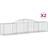 vidaXL 300 60/80 cm/ 2 pcs Arched Gabion Basket Iron Cage 300x100cm