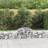 vidaXL 200 40/60 cm/ 14 pcs Arched Gabion Basket Cage