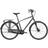 Trek District 2 Equipped With Shimano Nexus 7v Lithium City Bike 2022 -Gray Men's Bike