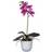 Mica Decorations Phalaenopsis Orkidé Lilla I Hvid Potte Kunstig plante
