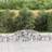 vidaXL 300 40/60 cm/ 6 pcs Arched Gabion Basket Cage