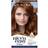 Clairol nice n easy 6rb light reddish brown