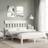 vidaXL White Bed Frame 120x200 cm Solid Wood