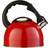 Premier Housewares 2.5L Stainless Steel Whistling