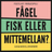 Kylskåpspoesi Fågel Fisk Eller Mittemellan