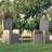 vidaXL Reclining Garden Garden Dining Chair