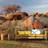 Artgeist Fototapet Afrikansk landskab, Namibia flere størrelser 350x270