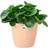 Elho Flower Pot Brussels Round Planter Plant Window Box