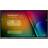 Viewsonic IFP5550-5