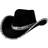 Wicked Costumes Cowboyhat Sort med palietter