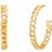 Michael Kors Hoop Earrings - Gold/Transparent