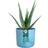 Elho Atlantic Blue Round Planter 16 cm ∅16cm