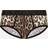 Dolce & Gabbana Leopard Print Brando Brief, Black