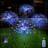 Kevsrer Firework Ground Lighting